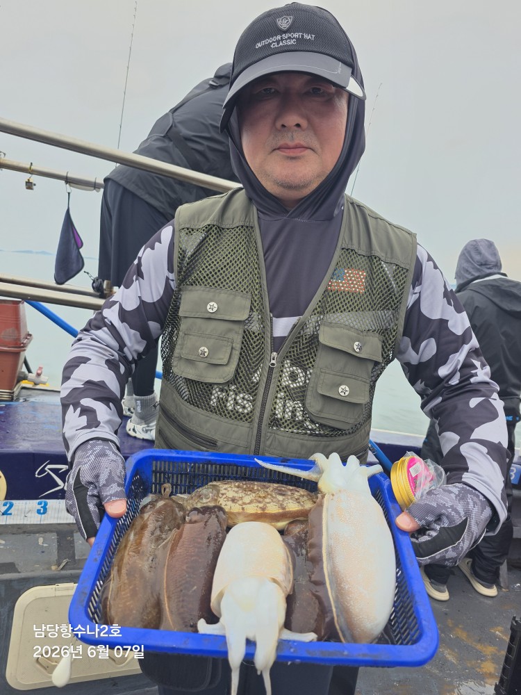 6월7일 수나2호 봄갑오징어 조황사진입니다.