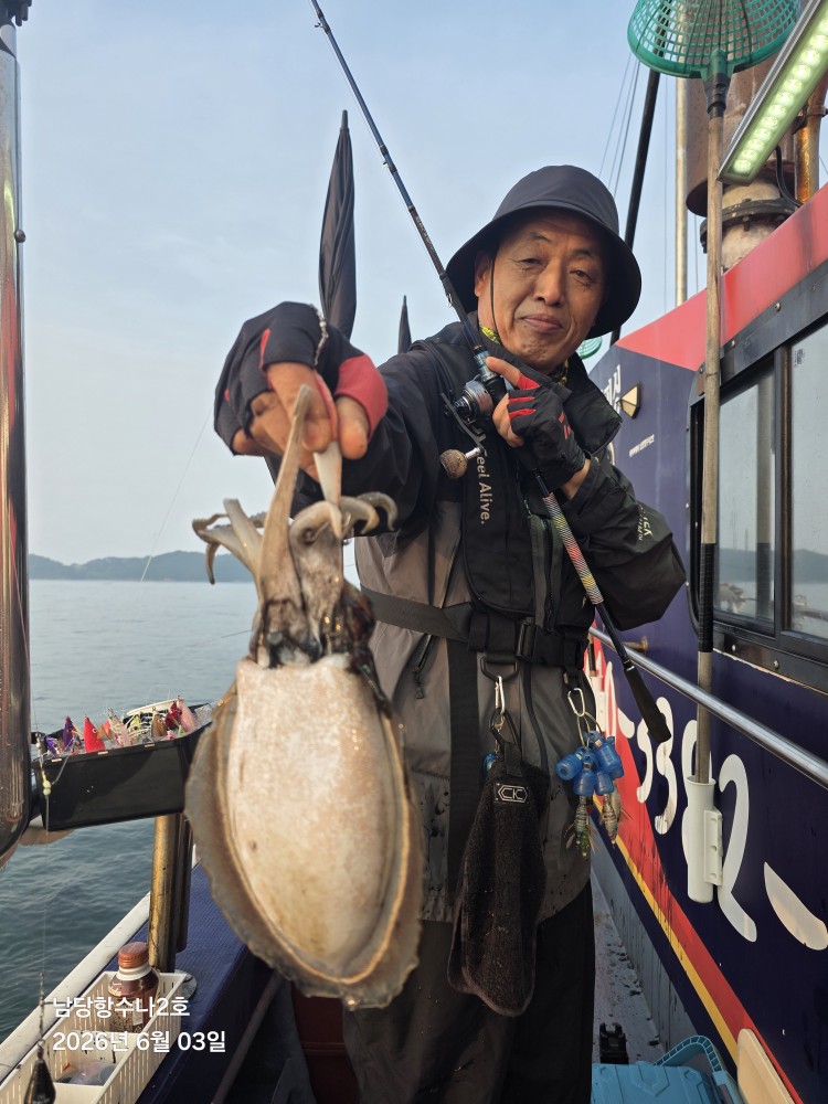 6월3일 수나2호 봄갑오징어 조황사진입니다.