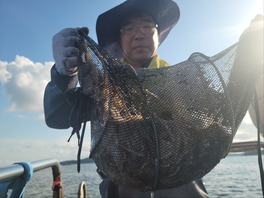 9월26일 수나2호  주꾸미 조황입니다.