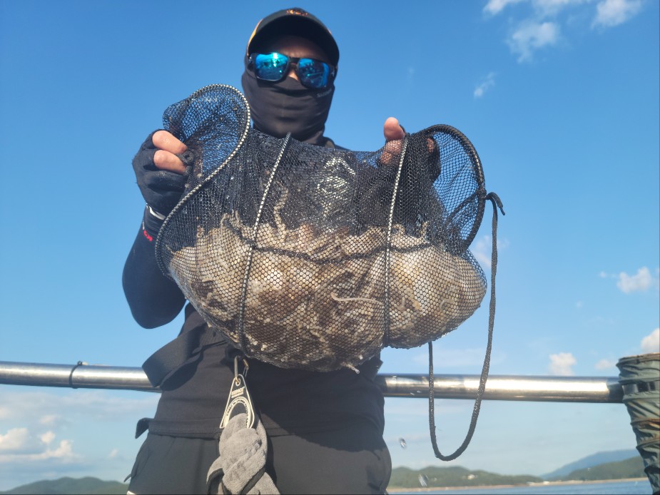 9월28일 수나2호  주꾸미 조황입니다.