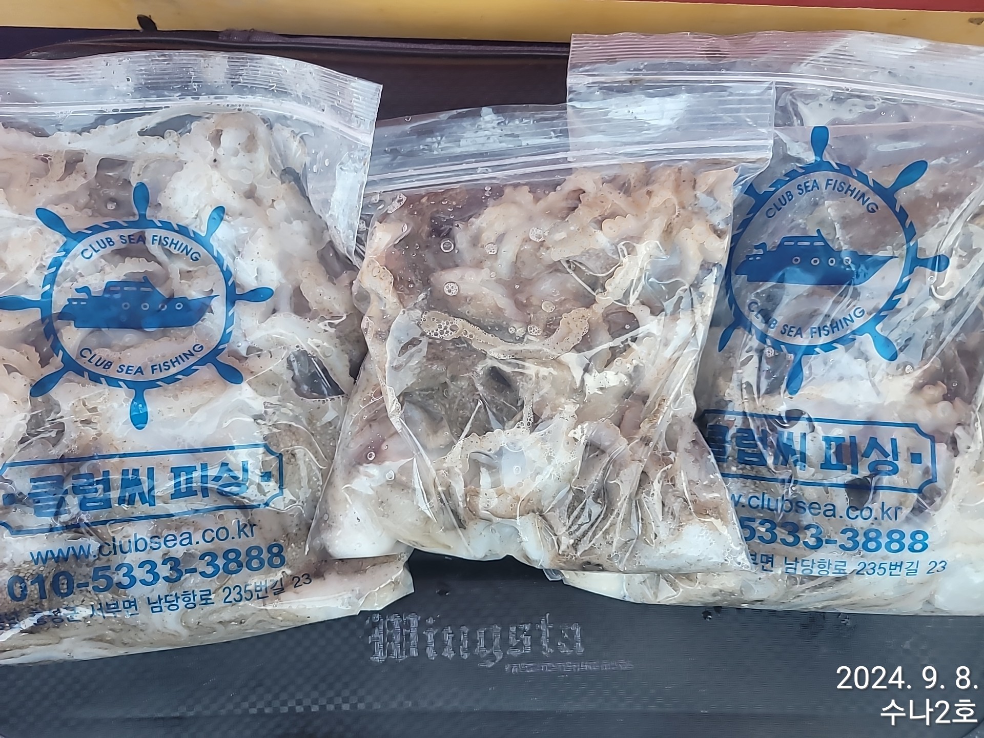 9월8일 수나2호  주꾸미 조황입니다.