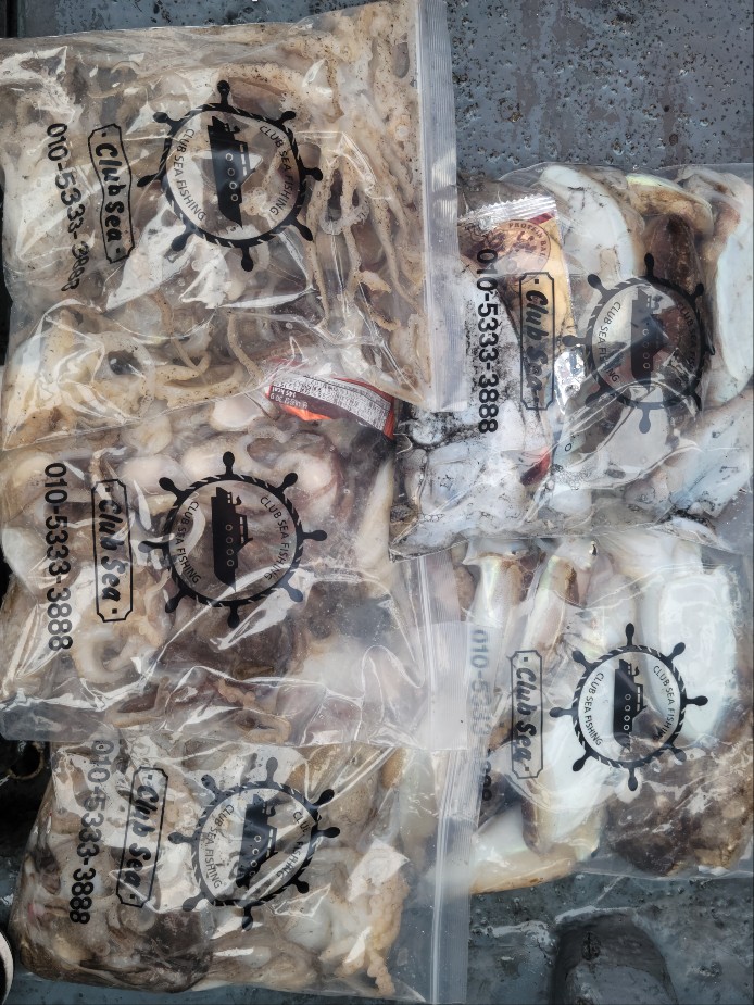 10월 13일 수나2호 갑,쭈 조황입니다.