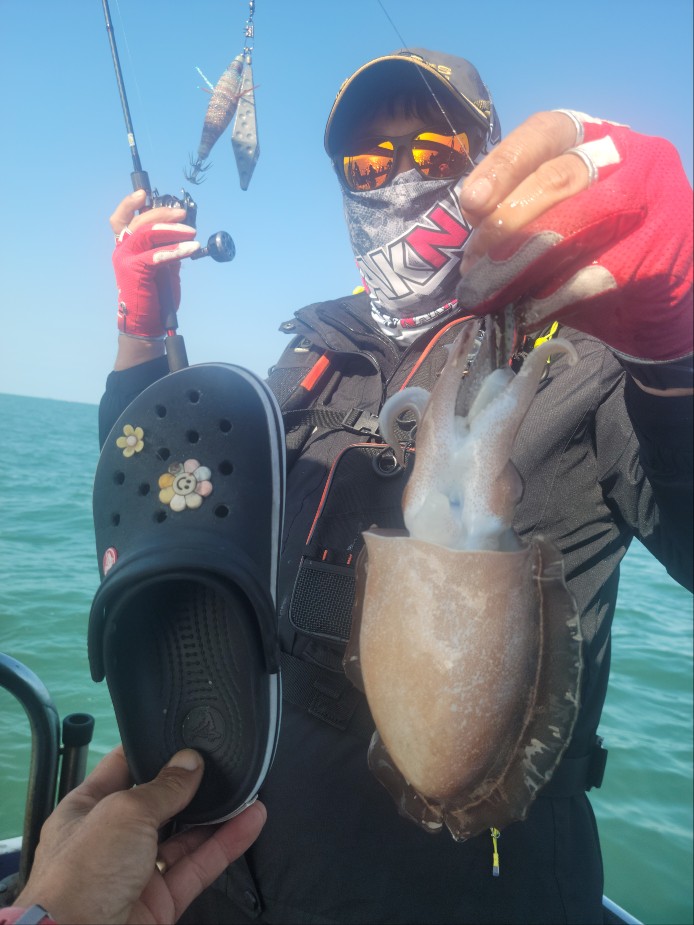 11월 12일 수나2호 갑오징어 조황입니다.