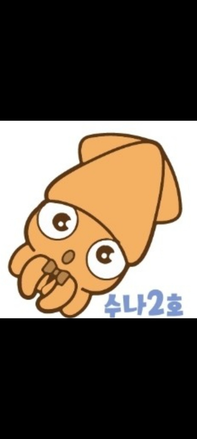 5월 24일 수나2호 갑오징어 조황입니다.