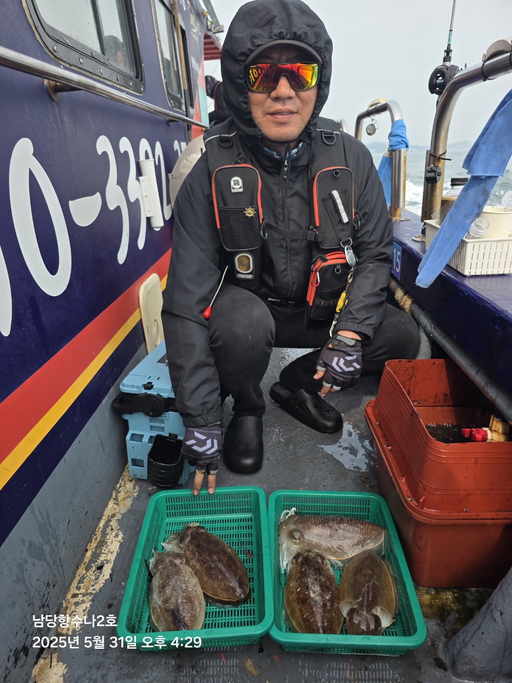 5월 31일 수나2호 갑오징어 조황입니다.