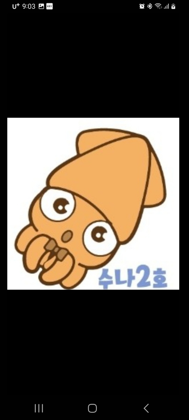 6월6일 수나2호 갑오징어 조황입니다.