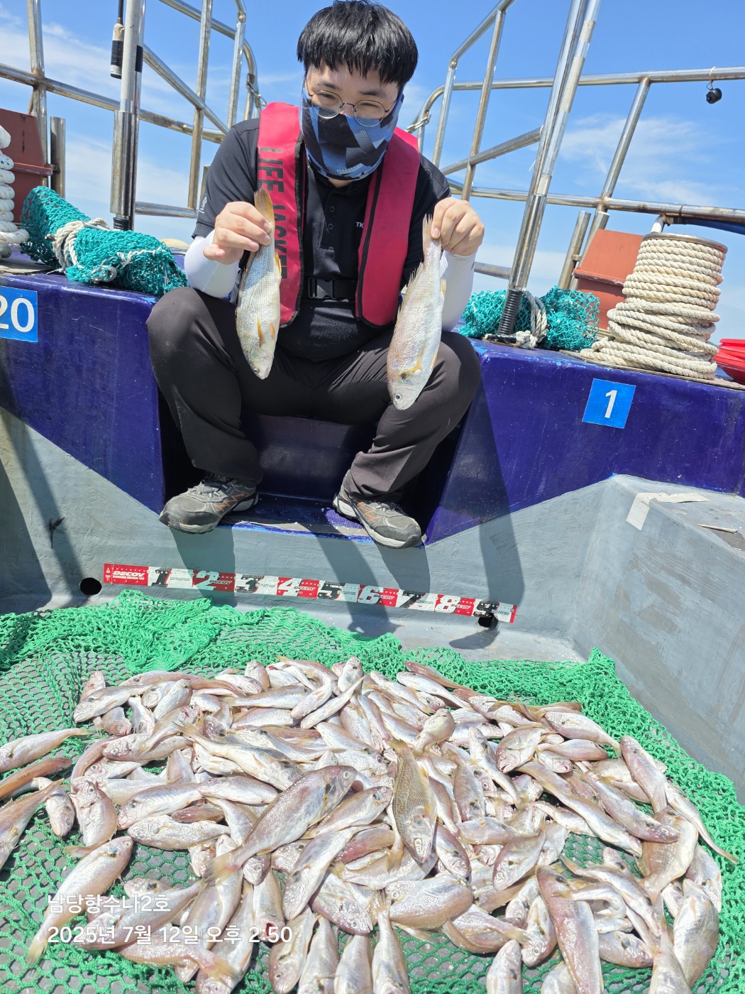 7월12일 수나2호 백조기 조황사진입니다.