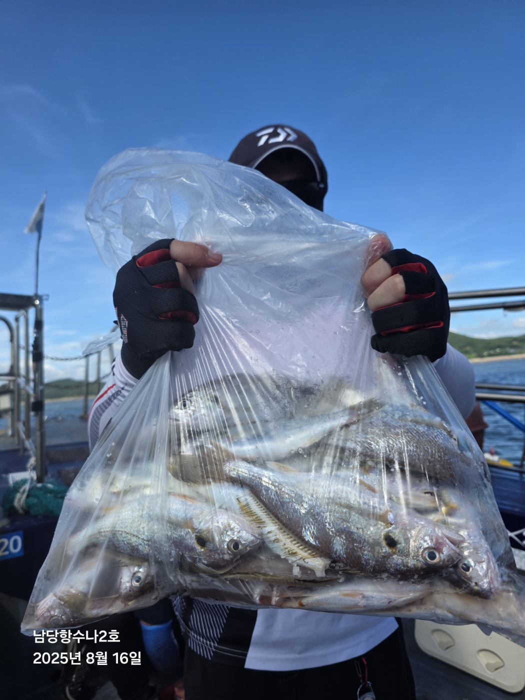 8월 16일 수나2호 백조기 조황사진입니다.