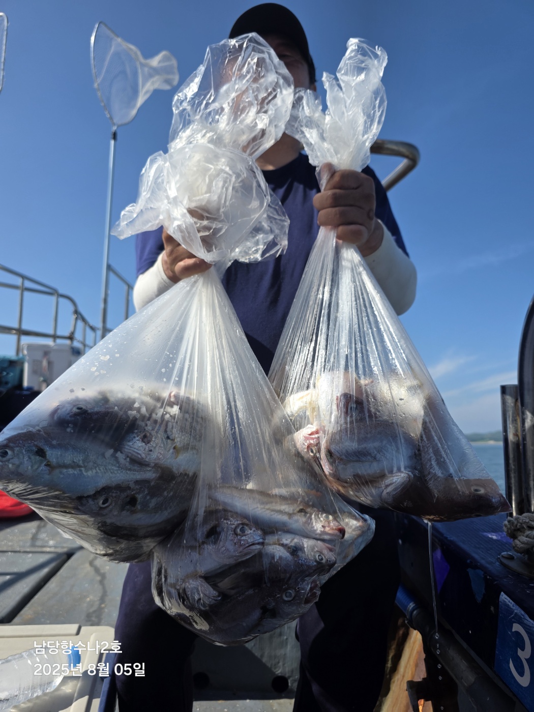 8월 5일 수나2호 백조기 조황사진입니다.