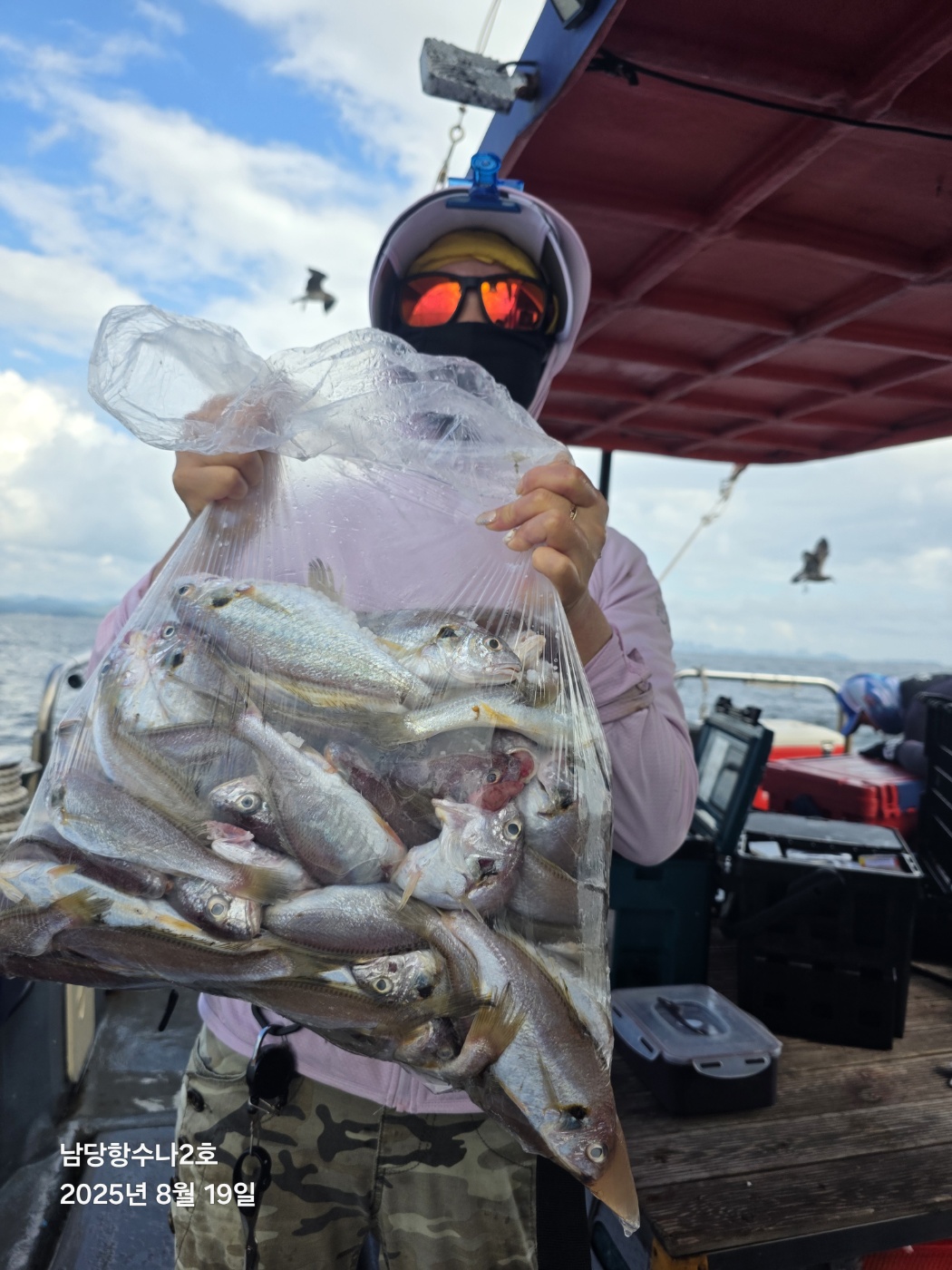 8월19일 수나2호 백조기 조황사진입니다.