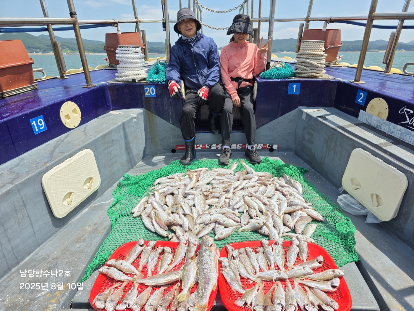 8월10일 수나2호 백조기 조황사진입니다.