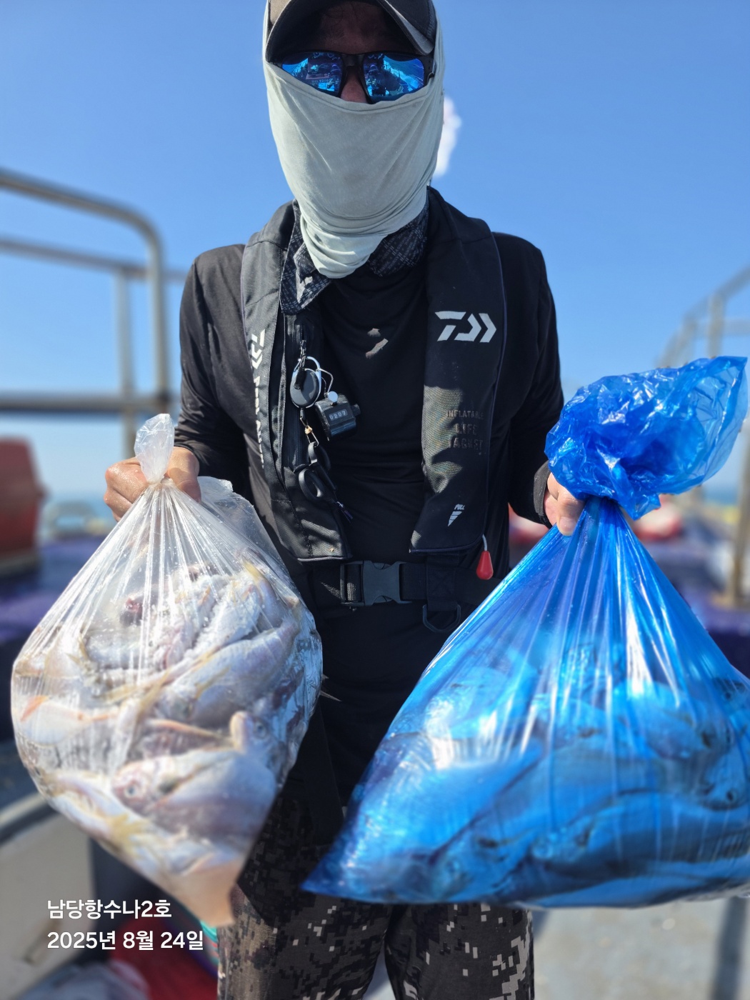 8월24일 수나2호 백조기 조황사진입니다.