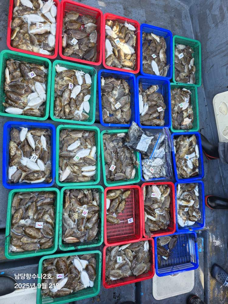 9월21일 수나2호 갑.쭈 조황사진입니다.