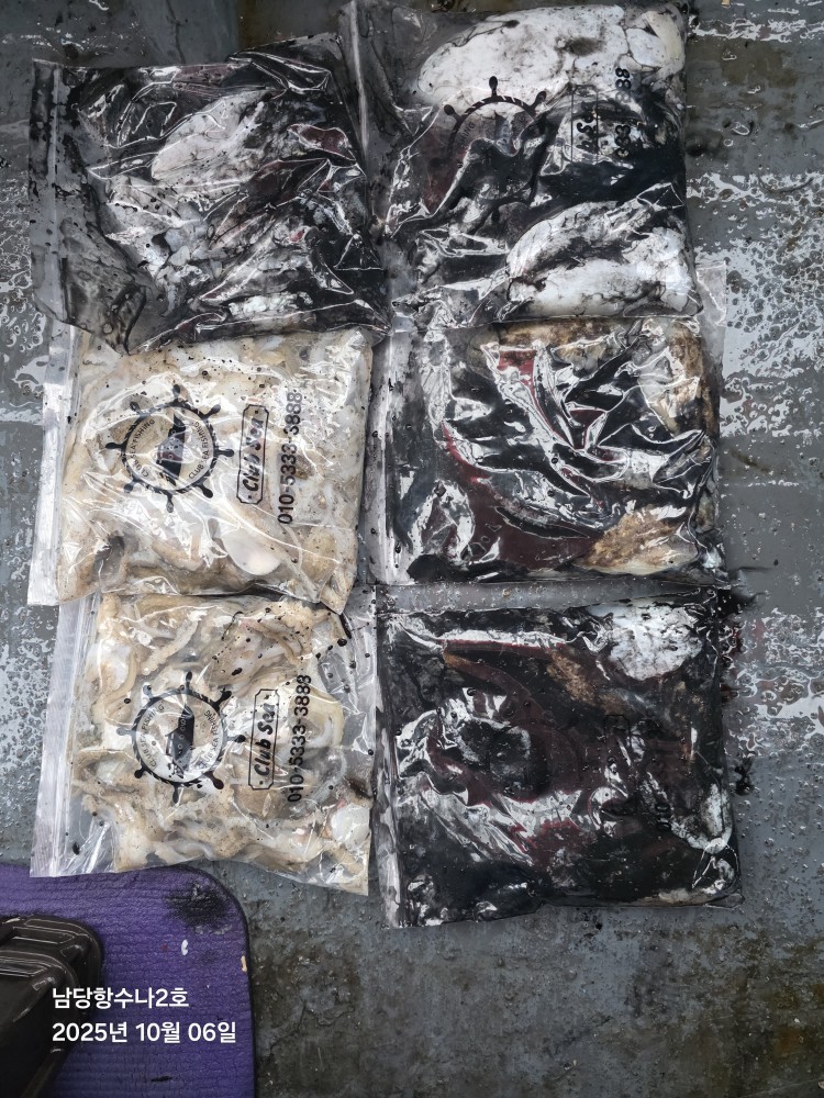 10월 6일 수나2호 갑.쭈 조황사진입니다.