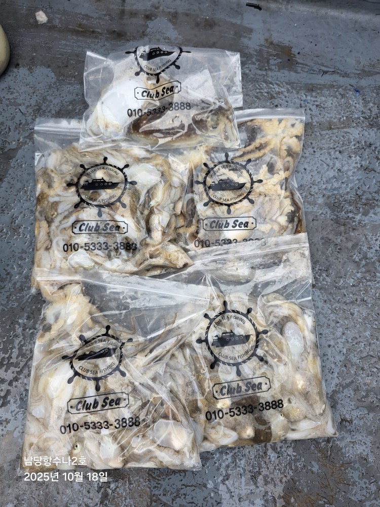 10월 18일 수나2호 주꾸미 조황사진입니다.