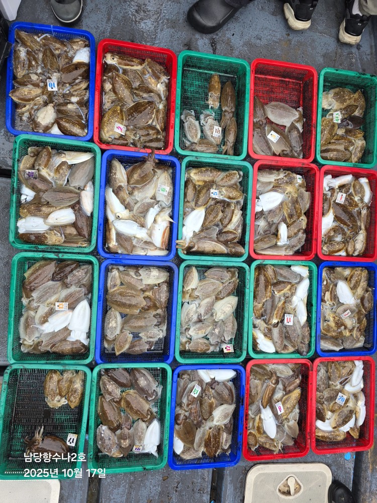 10월 17일 수나2호 갑.쭈조황사진입니다.