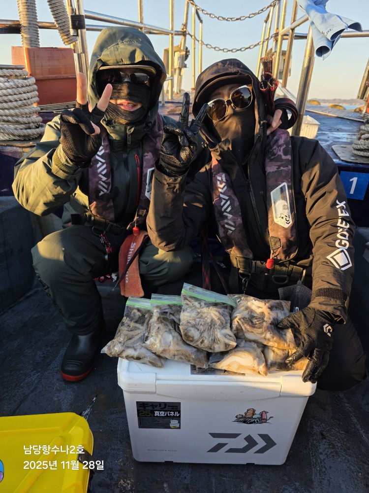 11월28일 수나2호  주꾸미 조황사진입니다.