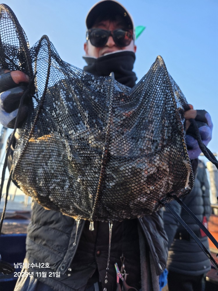 11월 21일 수나2호 주꾸미 조황사진입니다.