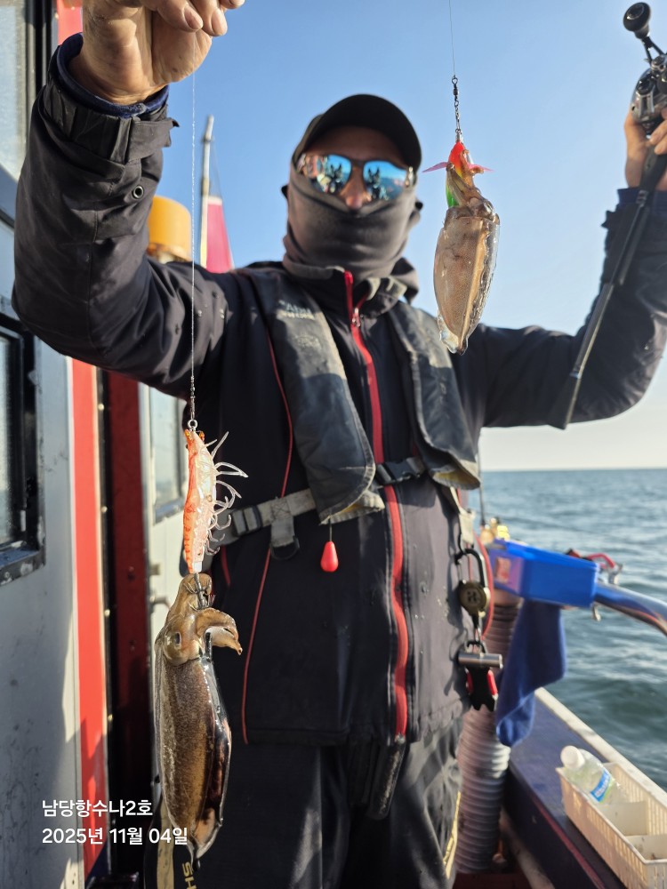 11월 4일 수나2호 갑오징어 조황입니다.