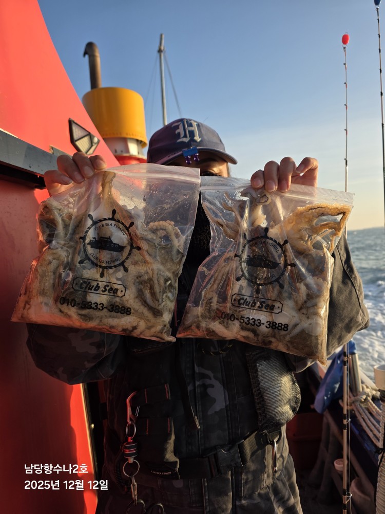 12월12일 수나2호  주꾸미 조황사진입니다.