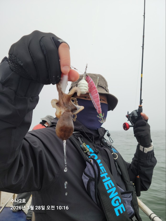 3월28일 수나2호  주꾸미 조황입니다.