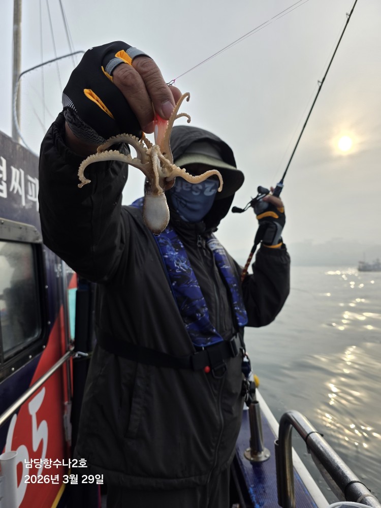 3월29일 수나2호  주꾸미 조황입니다.